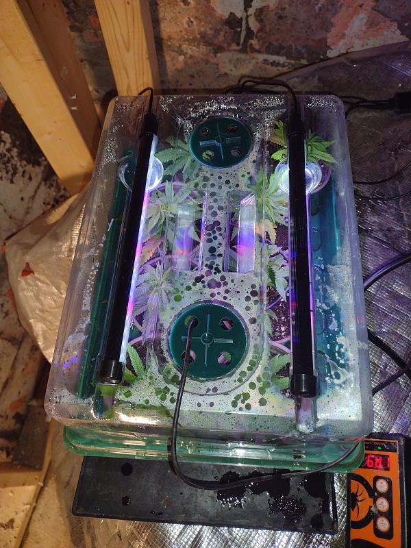 Click image for larger version

Name:	IMG_20260429_123437457.jpg
Views:	0
Size:	3.29 MB
ID:	665537