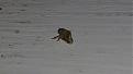Click image for larger version

Name:	IMG_20170706_204720039.jpg
Views:	160
Size:	1.16 MB
ID:	113456