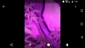 Click image for larger version

Name:	Screenshot_20170725-070016.png
Views:	678
Size:	561.7 KB
ID:	119306