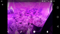 Click image for larger version

Name:	Screenshot_20170811-073518.png
Views:	274
Size:	1,005.5 KB
ID:	124285