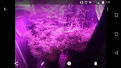 Click image for larger version

Name:	Screenshot_20170822-070142.png
Views:	277
Size:	968.0 KB
ID:	127218
