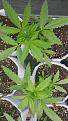 20171028_104956.jpg