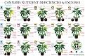 Click image for larger version

Name:	CannabisPoster4000-1.jpg
Views:	131
Size:	2.21 MB
ID:	153136