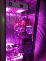 Click image for larger version

Name:	IMG_8022.jpg
Views:	2432
Size:	494.2 KB
ID:	190793