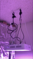 Click image for larger version

Name:	37C8B523-EE65-4CF4-BFCA-9BED0FA7F3CC.png
Views:	274
Size:	927.9 KB
ID:	196785