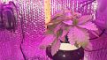Click image for larger version

Name:	20180517_200433.jpg
Views:	744
Size:	3.46 MB
ID:	226970