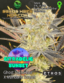 Click image for larger version

Name:	ethos-genetics-citradelic-sunset-feminized.jpg
Views:	167
Size:	551.4 KB
ID:	252808