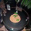 Click image for larger version

Name:	IMG_20181216_011728.jpg
Views:	321
Size:	976.9 KB
ID:	276229