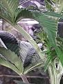 Click image for larger version

Name:	20190115_060834.jpg
Views:	123
Size:	952.2 KB
ID:	284331