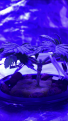Click image for larger version

Name:	IMG_7878.PNG
Views:	286
Size:	1.17 MB
ID:	294693