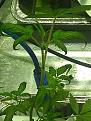 Click image for larger version

Name:	2.jpg
Views:	184
Size:	1.32 MB
ID:	319628