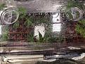 20191024_063825.jpg
