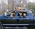 Click image for larger version

Name:	moose hunting.jpg
Views:	930
Size:	108.9 KB
ID:	361145