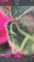 Click image for larger version

Name:	2F1B67B5-0A16-4A9C-B9BC-E5ED41206344.png
Views:	224
Size:	1.00 MB
ID:	361444
