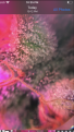 Click image for larger version

Name:	37C7B138-EA14-4AE8-A14D-71E5D89BB79A.png
Views:	228
Size:	1.01 MB
ID:	361449