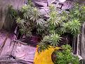 Click image for larger version

Name:	IMG_20200101_212249.jpg
Views:	565
Size:	4.58 MB
ID:	362119