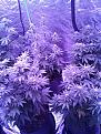Click image for larger version

Name:	20200103_151353.jpg
Views:	275
Size:	2.85 MB
ID:	362766