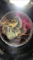 Click image for larger version

Name:	3ABAC6ED-E1E1-4ECC-A78B-29B3E9DA3744.png
Views:	166
Size:	1.15 MB
ID:	362788