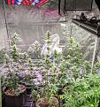 Click image for larger version

Name:	IMG_20200111_220935.jpg
Views:	327
Size:	3.53 MB
ID:	365337