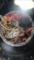 Click image for larger version

Name:	6BDE04EE-8D15-40E3-A3EF-1EC4AD009606.png
Views:	372
Size:	1.15 MB
ID:	366978