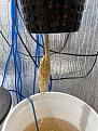 Click image for larger version

Name:	IMG_1893.jpg
Views:	258
Size:	2.77 MB
ID:	369123