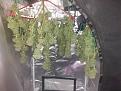 Click image for larger version

Name:	IMG_20200221_123426309.jpg
Views:	310
Size:	1.84 MB
ID:	377855