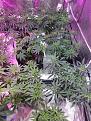 Click image for larger version

Name:	IMG_20200301_201503737.jpg
Views:	459
Size:	4.05 MB
ID:	380383
