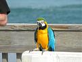 Click image for larger version

Name:	DSCN2380.JPG
Views:	815
Size:	170.8 KB
ID:	382875