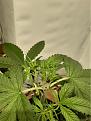 20200315_092427.jpg
