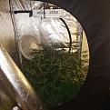Click image for larger version

Name:	IMG_20200324_211848536.jpg
Views:	340
Size:	1.94 MB
ID:	387586