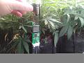 Click image for larger version

Name:	resizeprobe.jpg
Views:	231
Size:	2.59 MB
ID:	387674