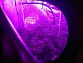 Click image for larger version

Name:	IMG_20200406_144546308.jpg
Views:	290
Size:	2.99 MB
ID:	392227