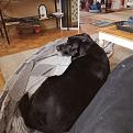 Click image for larger version

Name:	IMG_20200414_132215.jpg
Views:	473
Size:	1.48 MB
ID:	395222