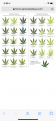 Click image for larger version

Name:	BC48253D-DA55-41C5-9B52-C7D3E0B28A4B.png
Views:	563
Size:	877.2 KB
ID:	395313