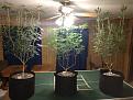 Click image for larger version

Name:	IMG_20200420_013002778.jpg
Views:	265
Size:	2.62 MB
ID:	397563