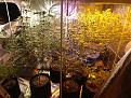 Click image for larger version

Name:	IMG_20200505_193836125.jpg
Views:	291
Size:	4.54 MB
ID:	402196