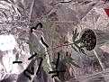 Click image for larger version

Name:	IMG_20200511_211321~4.jpg
Views:	286
Size:	2.92 MB
ID:	406428