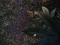 Click image for larger version

Name:	IMG_20200518_204619~2.jpg
Views:	188
Size:	1.59 MB
ID:	406741