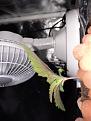 Click image for larger version

Name:	20200615_174835.jpg
Views:	214
Size:	1.78 MB
ID:	417649