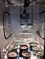 Click image for larger version

Name:	20200613_144304.jpg
Views:	335
Size:	1.95 MB
ID:	420092