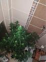 Click image for larger version

Name:	IMG_20200623_224515.jpg
Views:	381
Size:	2.58 MB
ID:	420587