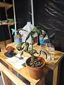 Click image for larger version

Name:	IMG_20200629_132039936.jpg
Views:	274
Size:	2.51 MB
ID:	423127