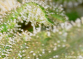 Click image for larger version

Name:	20-07-02 18:23:06.png
Views:	412
Size:	899.8 KB
ID:	423617