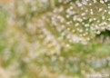 Click image for larger version

Name:	20-07-02 18:22:50.png
Views:	425
Size:	753.7 KB
ID:	423618