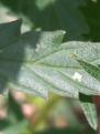 Click image for larger version

Name:	IMG_20200704_141036.jpg
Views:	160
Size:	1.51 MB
ID:	424135