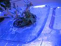 Click image for larger version

Name:	IMG_2388.JPG
Views:	532
Size:	2.72 MB
ID:	429058