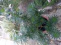 Click image for larger version

Name:	IMG_20200718_065447.jpg
Views:	188
Size:	3.55 MB
ID:	429160