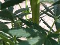 Click image for larger version

Name:	IMG_20200716_170008.jpg
Views:	609
Size:	1.61 MB
ID:	429896