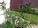 Click image for larger version

Name:	IMG_20200720_162556.jpg
Views:	212
Size:	3.24 MB
ID:	429979