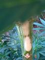 Click image for larger version

Name:	IMG_20200720_192457.jpg
Views:	208
Size:	2.04 MB
ID:	430050
